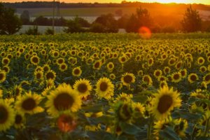 The Case For Daylight Saving Time